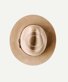 Classy fedora